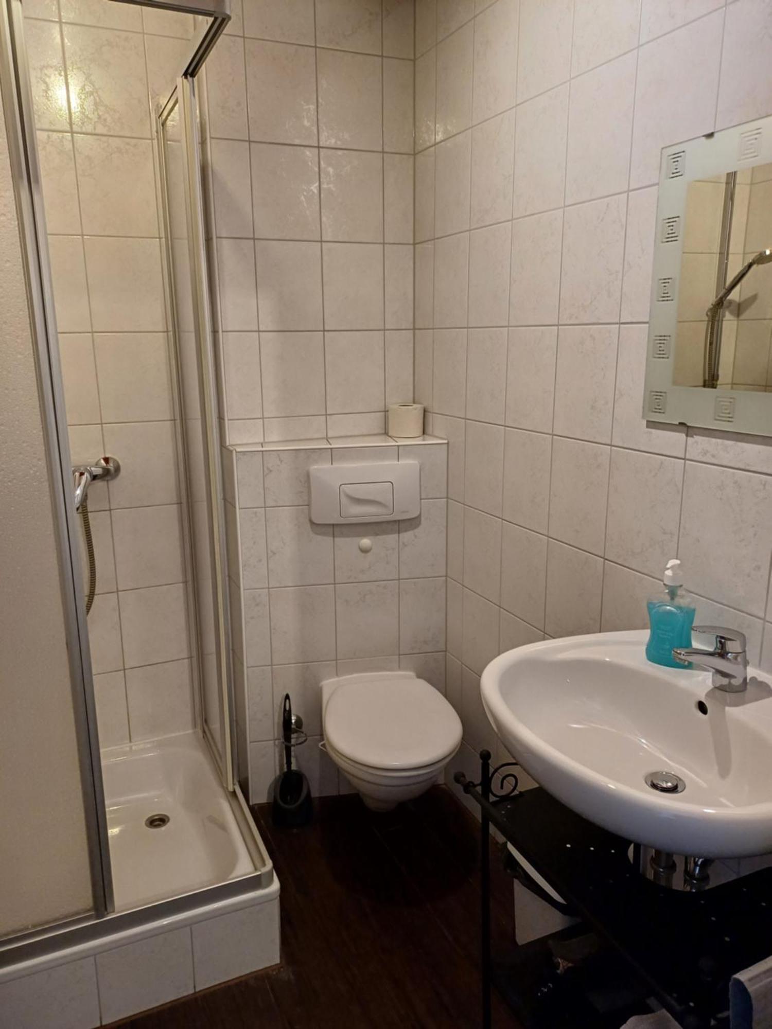 Im Bürgergarten Apartment Radebeul